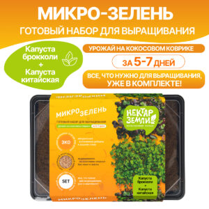 Набор для выращивания микрозелени многоразовый, Mix 3 (капуста китайская+капуста брокколи)