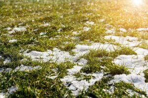 газон со снегом под лучами солнца МПФ Сезон